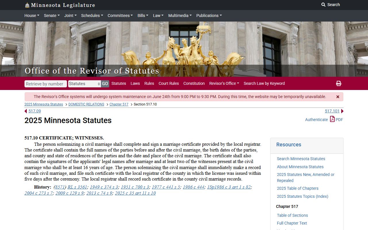 Pine County marriage records certificate statute